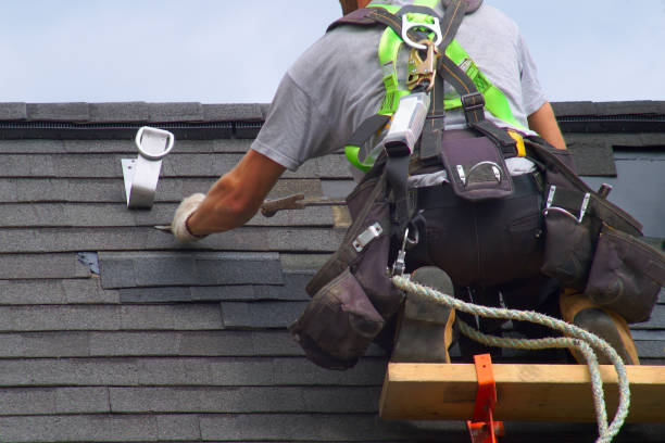 Best Roof Maintenance and Cleaning  in Cadillac, MI